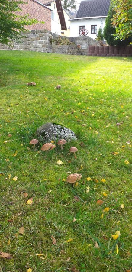 Rekreacni Dum Pohoda Jiřetín pod Jedlovou Exteriör bild